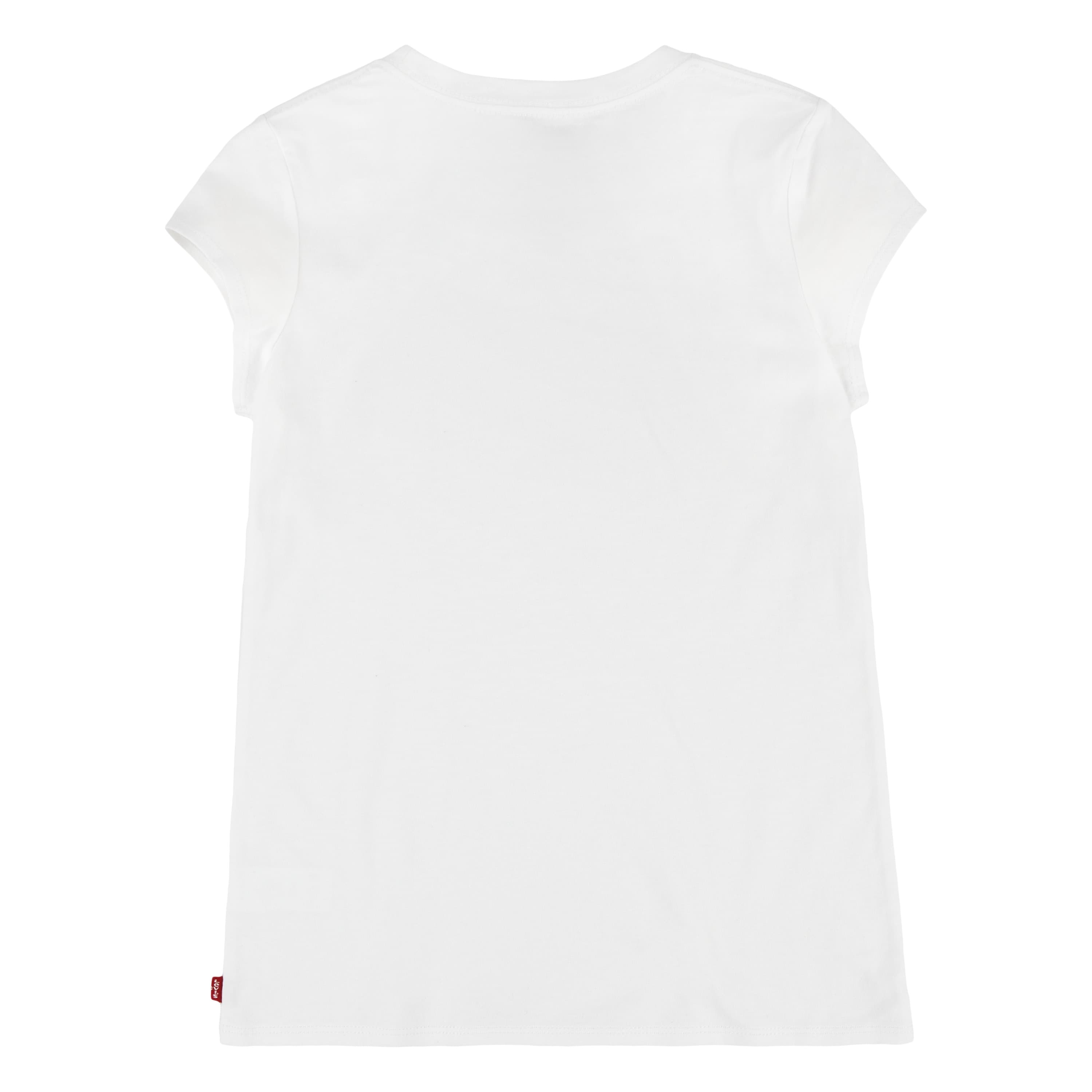 Le Lvg Ss Poster Logo Tee